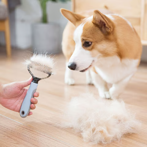💖Hot Sale🎁BUY 1 GET 1 FREE🎁Pet Safe Dematting Comb